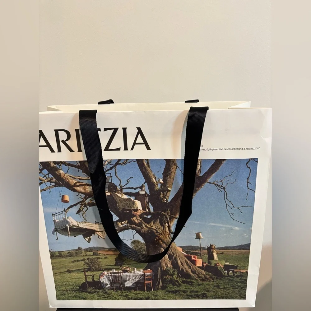 Aritzia shopping gift bag
